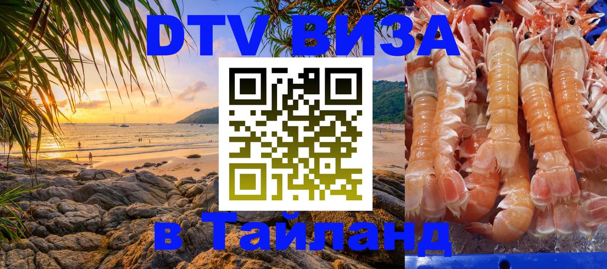 Оформление DTV визы под ключ: стоимость и тарифы, только загранпаспорт - Скопье  05.12.2025 